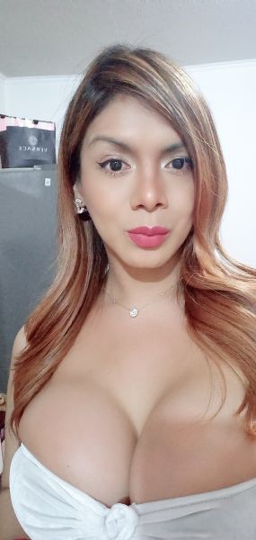  	
Bella modelo internacional dispuesta a complacer tus fantasías. 
 Me encuentro ubicada en : santiago centro , metro Santa Ana,  San Martín 870  ( San Martín con San Pablo)   cuento  con estacionamiento  privado las 24 horas !

Hermosa trans escort Luisa complaciente con trato de pareja.
Cuento con lugar propio y discreto o voy a hoteles y a domicilios.......                                               
Activa pasiva versátil  fiesta blanca lluvia dorada dispuesta hacer lo que tu mente y tu cuerpo deseen.
Muy buen cuerpo, femenina y educada. Absoluta discresion e higiene.